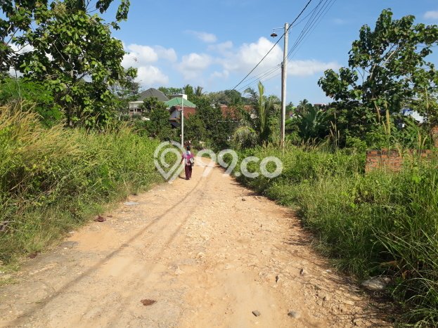 Kavling Tanah Dijual di Tanjung Bintang Lampung Selatan Spesifikasi 52000m2 Kavling Tanah Dijual di Tanjung Bintang Lampung Selatan Spesifikasi 52000m2