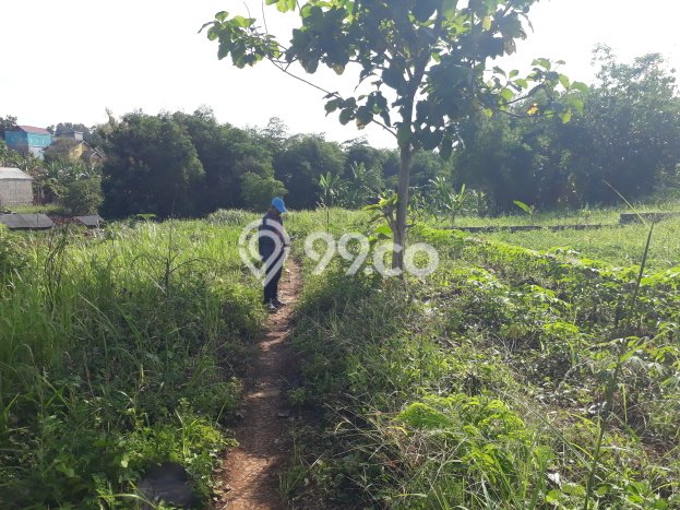 Kavling Tanah Dijual di Tanjung Bintang Lampung Selatan Spesifikasi 52000m2 Kavling Tanah Dijual di Tanjung Bintang Lampung Selatan Spesifikasi 52000m2