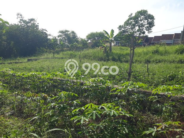 Kavling Tanah Dijual di Tanjung Bintang Lampung Selatan Spesifikasi 52000m2 Kavling Tanah Dijual di Tanjung Bintang Lampung Selatan Spesifikasi 52000m2