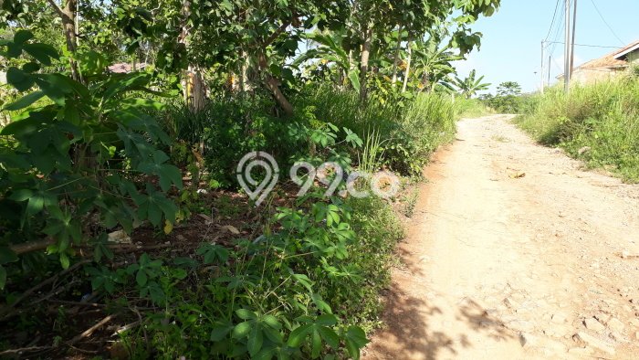 Kavling Tanah Dijual di Tanjung Bintang Lampung Selatan Spesifikasi 52000m2 Kavling Tanah Dijual di Tanjung Bintang Lampung Selatan Spesifikasi 52000m2