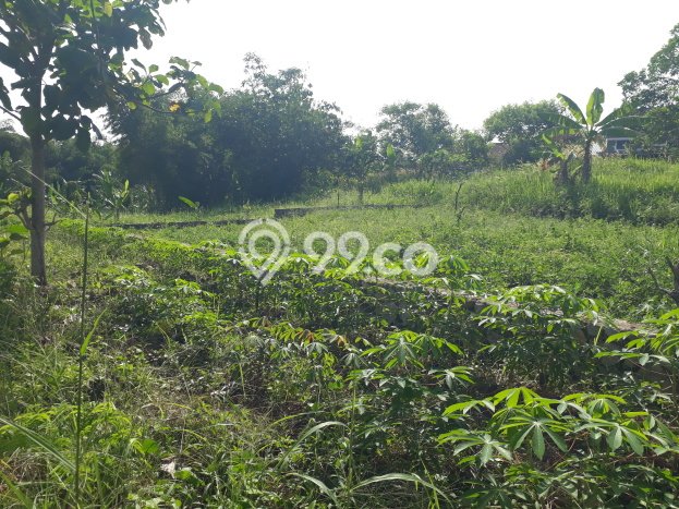 Kavling Tanah Dijual di Tanjung Bintang Lampung Selatan Spesifikasi 52000m2 Kavling Tanah Dijual di Tanjung Bintang Lampung Selatan Spesifikasi 52000m2