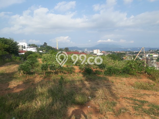 Kavling Tanah Dijual di Tanjung Bintang Lampung Selatan Spesifikasi 52000m2 Kavling Tanah Dijual di Tanjung Bintang Lampung Selatan Spesifikasi 52000m2