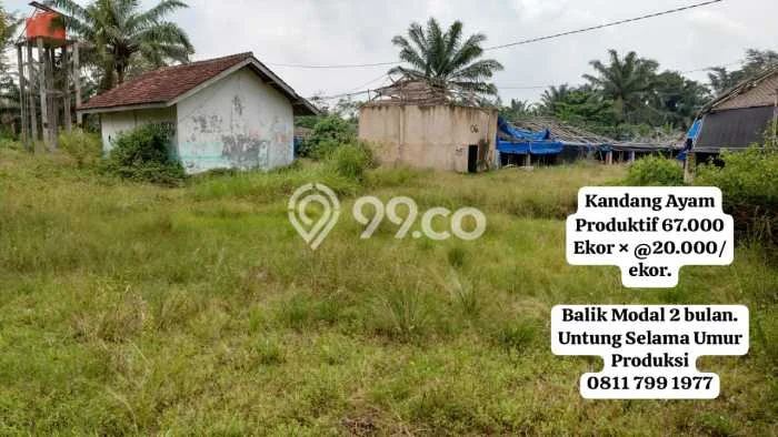 Tanah Kavling untuk Dijual di Merbau Mataram Lampung Selatan 1100m2 Tanah Kavling untuk Dijual di Merbau Mataram Lampung Selatan 1100m2