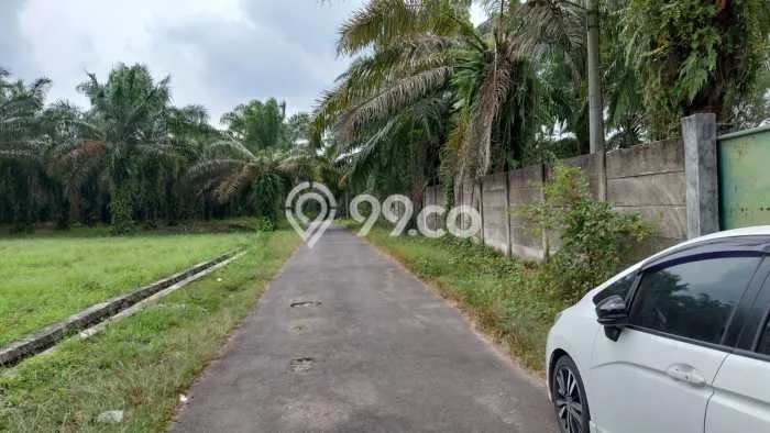 Tanah Kavling untuk Dijual di Merbau Mataram Lampung Selatan 1100m2 Tanah Kavling untuk Dijual di Merbau Mataram Lampung Selatan 1100m2