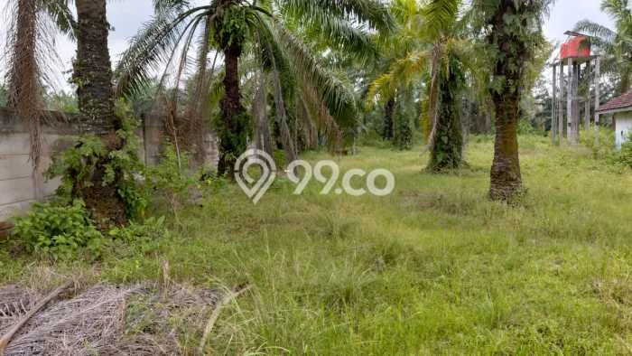 Tanah Kavling untuk Dijual di Merbau Mataram Lampung Selatan 1100m2 Tanah Kavling untuk Dijual di Merbau Mataram Lampung Selatan 1100m2