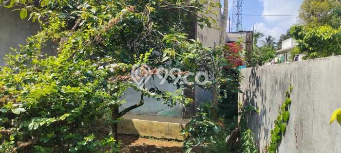 Dijual Rumah 3 Kamar Lokasi Strategis Nyaman dan Strategis di Pamijahan Dijual Rumah 3 Kamar Lokasi Strategis Nyaman dan Strategis di Pamijahan