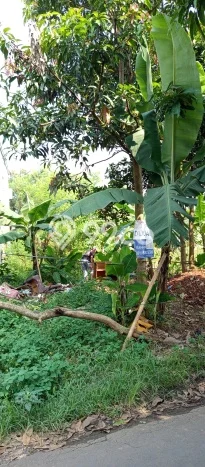 Tanah Dijual di Tangerang Selatan Seluas 166m2 Strategis Tanah Dijual di Tangerang Selatan Seluas 166m2 Strategis