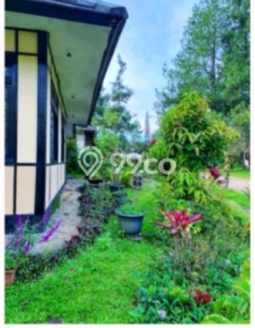 Vila Berkembang di Cipanas, Luas 507m2m², Akses ke Cipanas, Cianjur, Cianjur Vila Berkembang di Cipanas, Luas 507m2m², Akses ke Cipanas, Cianjur, Cianjur