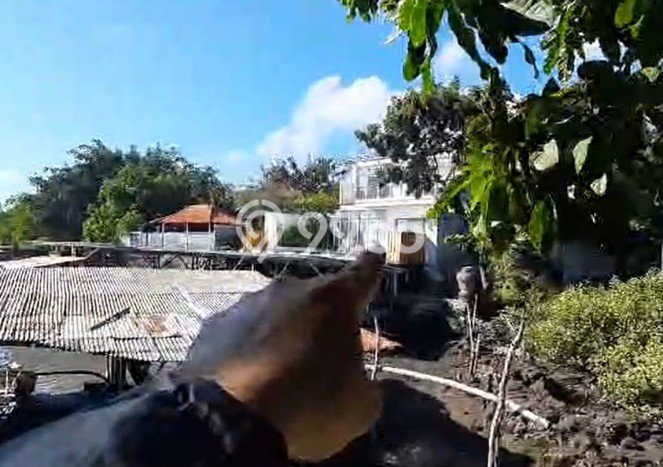 Tanah Dijual di Badung Seluas 1258m2 Strategis Tanah Dijual di Badung Seluas 1258m2 Strategis