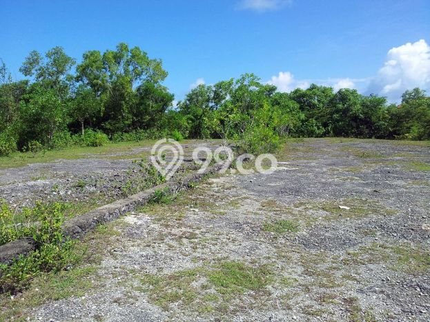 Tanah Investasi Dijual di Badung Punya Luas 501m2 Tanah Investasi Dijual di Badung Punya Luas 501m2