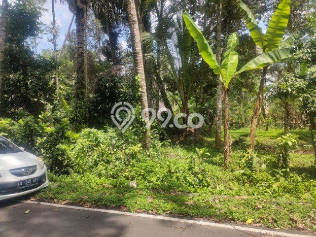 Tanah Kavling Dijual di Carangsari, Badung dengan Luas Tanah 2300m2 Tanah Kavling Dijual di Carangsari, Badung dengan Luas Tanah 2300m2