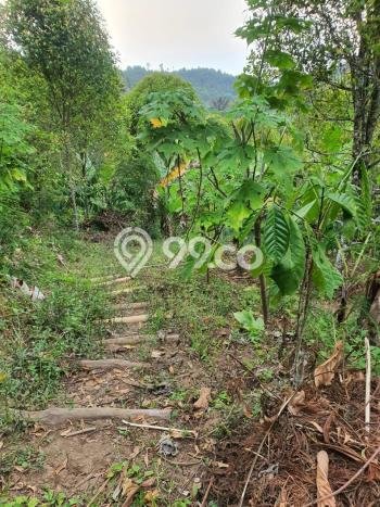 Jarang Ada! Tanah di Buleleng Punya Luas 18600m2 SHM Jarang Ada! Tanah di Buleleng Punya Luas 18600m2 SHM
