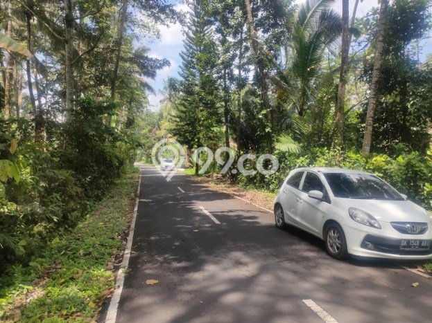 Tanah Kavling Dijual di Carangsari, Badung dengan Luas Tanah 2300m2 Tanah Kavling Dijual di Carangsari, Badung dengan Luas Tanah 2300m2