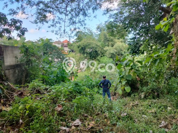 Tanah Strategis Kawasan Kaba kaba, Luas 1600m², Cocok untuk Investasi Tanah Strategis Kawasan Kaba kaba, Luas 1600m², Cocok untuk Investasi