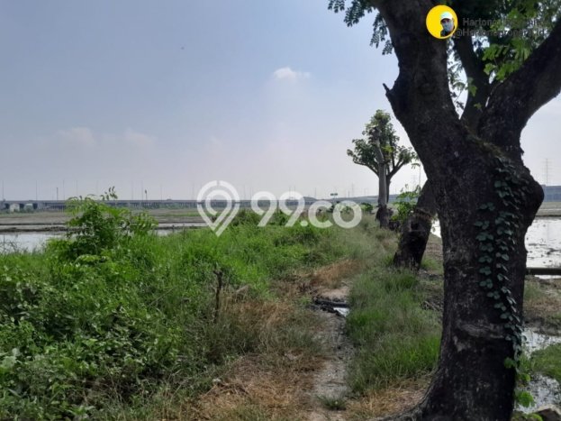 Tanah di Tambun Utara, Luas 20000m2m², Sertifikat Hak Milik, Akses Tambun Utara, Bekasi, Bekasi Tanah di Tambun Utara, Luas 20000m2m², Sertifikat Hak Milik, Akses Tambun Utara, Bekasi, Bekasi