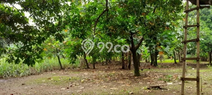 Tanah Kawasan Ciputat Timur, Luas 6365m2m², Kawasan Bisnis Tanah Kawasan Ciputat Timur, Luas 6365m2m², Kawasan Bisnis