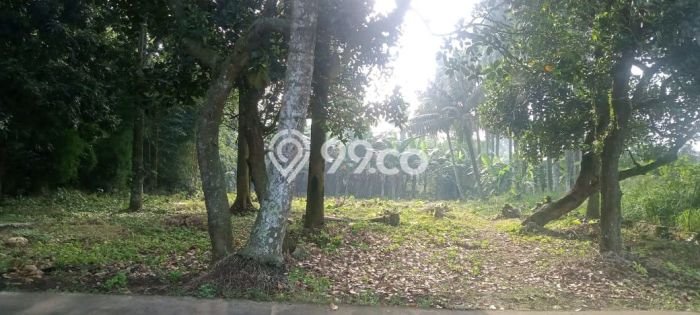 Tanah Dijual Lokasi Bogor Barat, Bogor Luas 1794m2 Legalitas Aman Tanah Dijual Lokasi Bogor Barat, Bogor Luas 1794m2 Legalitas Aman