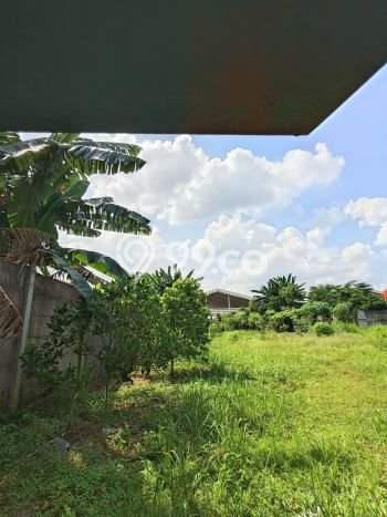 Kavling Tanah Dijual di Gunung Sindur Bogor Spesifikasi 1916m2 Kavling Tanah Dijual di Gunung Sindur Bogor Spesifikasi 1916m2