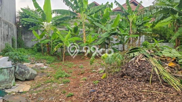 Kavling Tanah di Kebayoran Baru Dijual Luas 1638m2 Legalitas SHM Kavling Tanah di Kebayoran Baru Dijual Luas 1638m2 Legalitas SHM