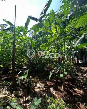 Tanah Dijual Lokasi Pamulang, Tangerang Selatan Luas 12300m2 Legalitas Aman Tanah Dijual Lokasi Pamulang, Tangerang Selatan Luas 12300m2 Legalitas Aman