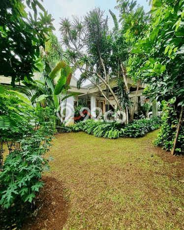 Ready to Use! Premium House LT 1987m2 Desain Elegan di Pejaten Ready to Use! Premium House LT 1987m2 Desain Elegan di Pejaten
