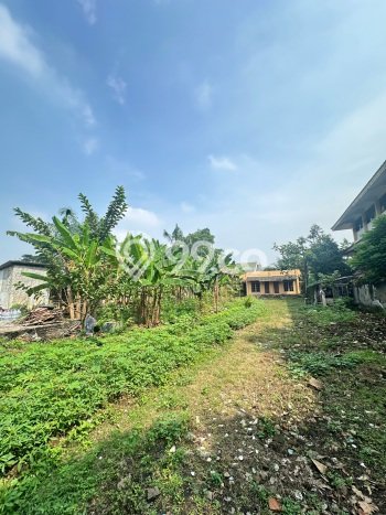 Paling Dicari! Kantor Dijual di Warung Buncit Harga Kompetitif Paling Dicari! Kantor Dijual di Warung Buncit Harga Kompetitif