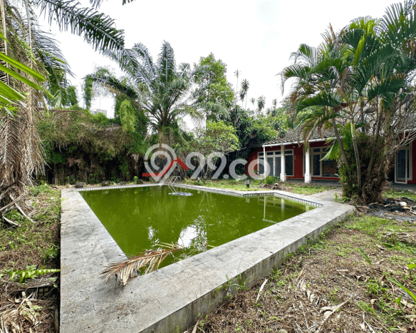 Rumah Elit Modern Tanpa Renovasi di Kemang Jakarta Selatan Rumah Elit Modern Tanpa Renovasi di Kemang Jakarta Selatan