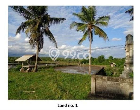 Kavling Tanah untuk Dijual di Perancak, Jembrana, Luas 65000m2 Kavling Tanah untuk Dijual di Perancak, Jembrana, Luas 65000m2