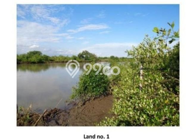 Kavling Tanah untuk Dijual di Perancak, Jembrana, Luas 65000m2 Kavling Tanah untuk Dijual di Perancak, Jembrana, Luas 65000m2