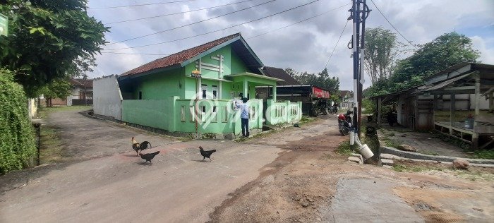 Rumah Minimalis Dijual di Sukarame 3 Kamar dengan Luas Tanah 198m2 Rumah Minimalis Dijual di Sukarame 3 Kamar dengan Luas Tanah 198m2