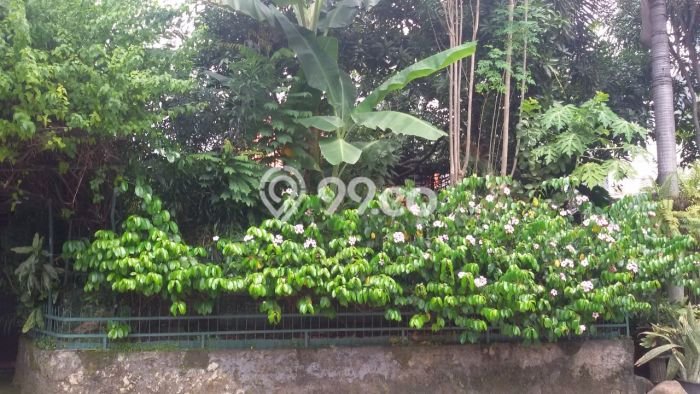 Siap Huni Hunian Elit 4 Kamar di Kebayoran Baru Dekat ke Mana Saja Siap Huni Hunian Elit 4 Kamar di Kebayoran Baru Dekat ke Mana Saja