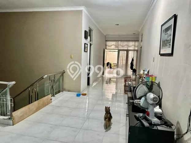 Rumah Luxury Modern Tanpa Renovasi di Pluit Jakarta Utara Rumah Luxury Modern Tanpa Renovasi di Pluit Jakarta Utara