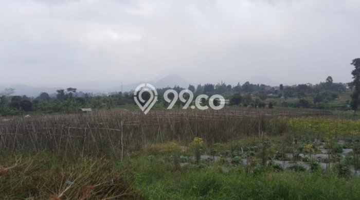 Dijual Tanah Lokasi Cipendawa, Cianjur Seluas 9348m2 Dijual Tanah Lokasi Cipendawa, Cianjur Seluas 9348m2