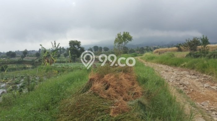 Dijual Tanah Lokasi Cipendawa, Cianjur Seluas 9348m2 Dijual Tanah Lokasi Cipendawa, Cianjur Seluas 9348m2