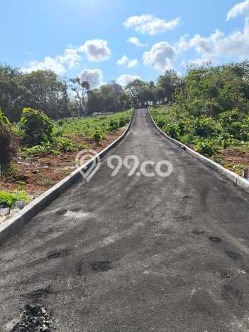 Tanah Siap Bangun Dijual di Badung Punya Luas 216m2 Tanah Siap Bangun Dijual di Badung Punya Luas 216m2