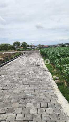 Jarang Ada! Tanah Kavling Disewakan di Denpasar 200m2 Jarang Ada! Tanah Kavling Disewakan di Denpasar 200m2