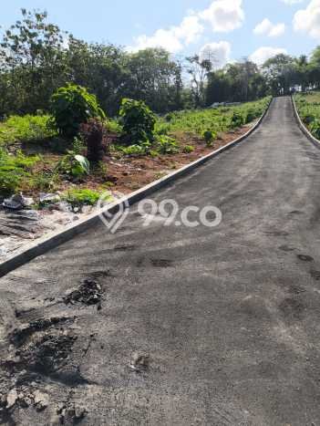 Tanah Siap Bangun Dijual di Badung Punya Luas 216m2 Tanah Siap Bangun Dijual di Badung Punya Luas 216m2