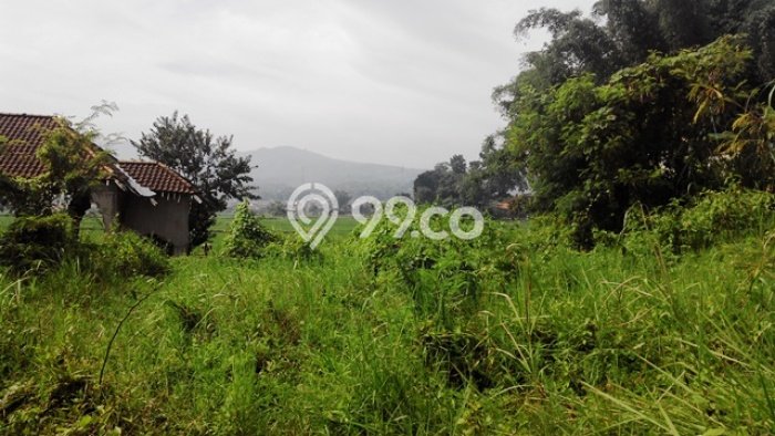Lahan Kosong Dijual di Bandung dengan Area 4200m2 Lahan Kosong Dijual di Bandung dengan Area 4200m2
