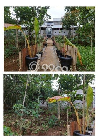 HOT DEAL! Jual Rumah Premium area Cibugel, Sumedang, LT 1137m² LB 136m² HOT DEAL! Jual Rumah Premium area Cibugel, Sumedang, LT 1137m² LB 136m²
