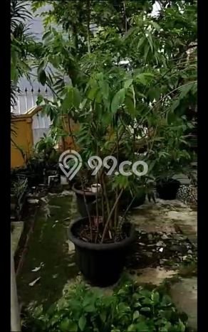 Rumah Strategis Minimalis Lb 100m2 di Pasar Rebo, Jakarta Timur Rumah Strategis Minimalis Lb 100m2 di Pasar Rebo, Jakarta Timur