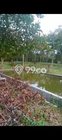 Lahan Kosong Dijual di Bintan dengan Area 23000m2 Lahan Kosong Dijual di Bintan dengan Area 23000m2