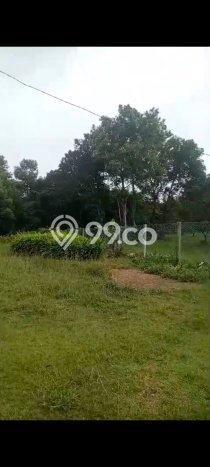 Lahan Kosong Dijual di Bintan dengan Area 23000m2 Lahan Kosong Dijual di Bintan dengan Area 23000m2