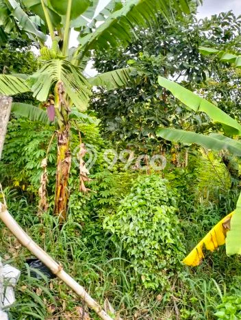 Lahan Kosong Dijual di Cileunyi, Bandung, Luas 35460m2 Area Strategis Lahan Kosong Dijual di Cileunyi, Bandung, Luas 35460m2 Area Strategis