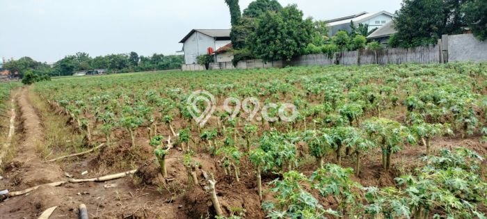 Tanah Kavling untuk Dijual di Sepatan Timur Tangerang 4230m2 Tanah Kavling untuk Dijual di Sepatan Timur Tangerang 4230m2