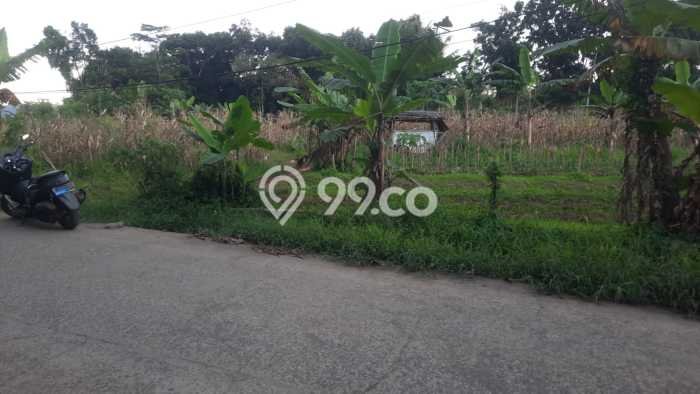 Tanah Dijual Lokasi Parung Panjang, Bogor Luas 1730m2 Legalitas Aman Tanah Dijual Lokasi Parung Panjang, Bogor Luas 1730m2 Legalitas Aman