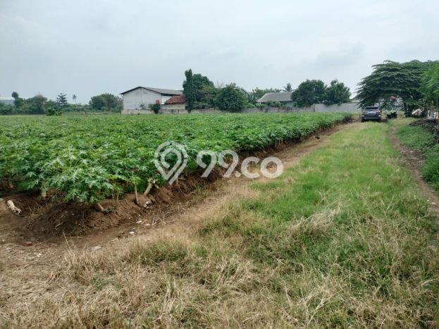 Tanah Kavling untuk Dijual di Sepatan Timur Tangerang 4230m2 Tanah Kavling untuk Dijual di Sepatan Timur Tangerang 4230m2