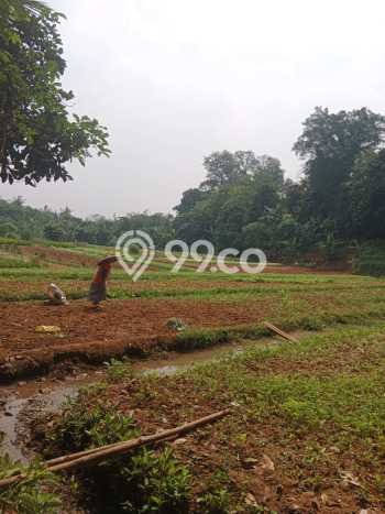 Lahan Kosong Disewakan di Cisauk, Tangerang, Luas 3100m2 Lahan Kosong Disewakan di Cisauk, Tangerang, Luas 3100m2