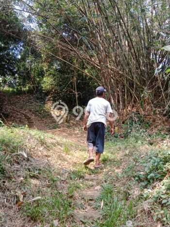 Lahan Kosong Disewakan di Cisauk, Tangerang, Luas 3100m2 Lahan Kosong Disewakan di Cisauk, Tangerang, Luas 3100m2