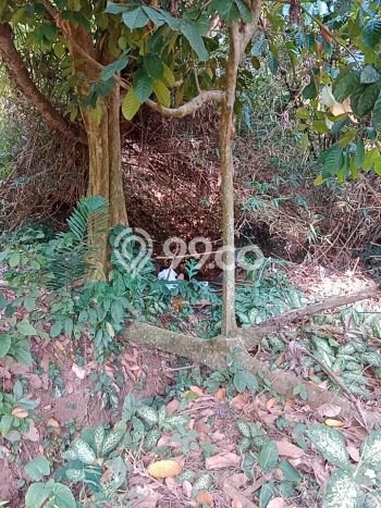 Lahan Kosong Disewakan di Cisauk, Tangerang, Luas 3100m2 Lahan Kosong Disewakan di Cisauk, Tangerang, Luas 3100m2