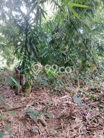 Lahan Kosong Disewakan di Cisauk, Tangerang, Luas 3100m2 Lahan Kosong Disewakan di Cisauk, Tangerang, Luas 3100m2